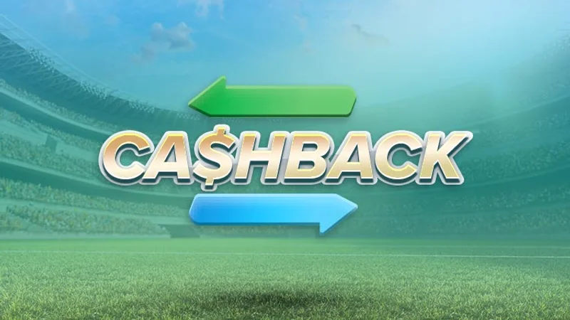 CASHBACK REBATE TERMS Bonus Offer Details